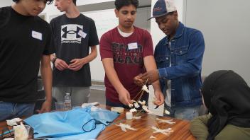 Group working on their project
